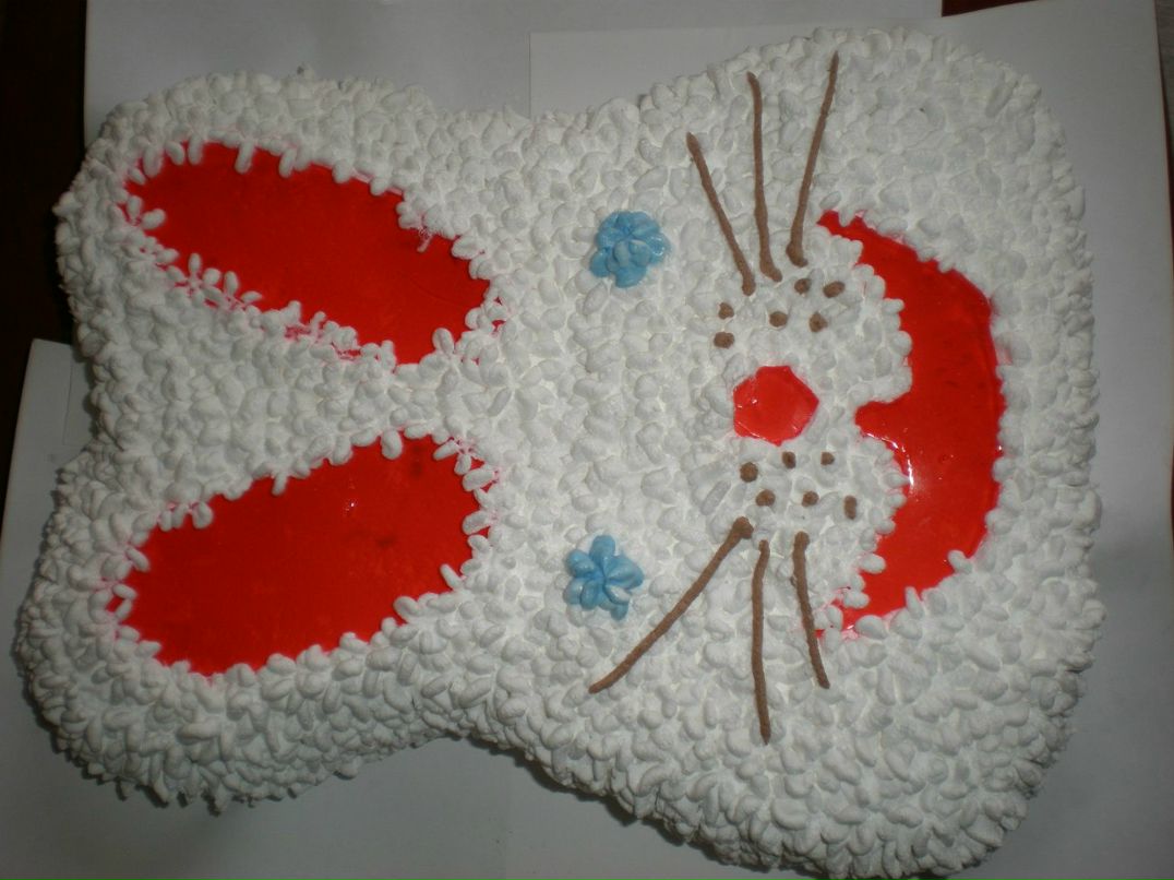 Лена Балабуха | Запорожье