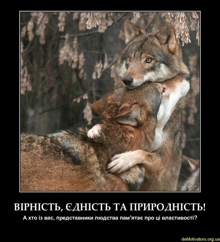 Олег Кудрій | Тернополь