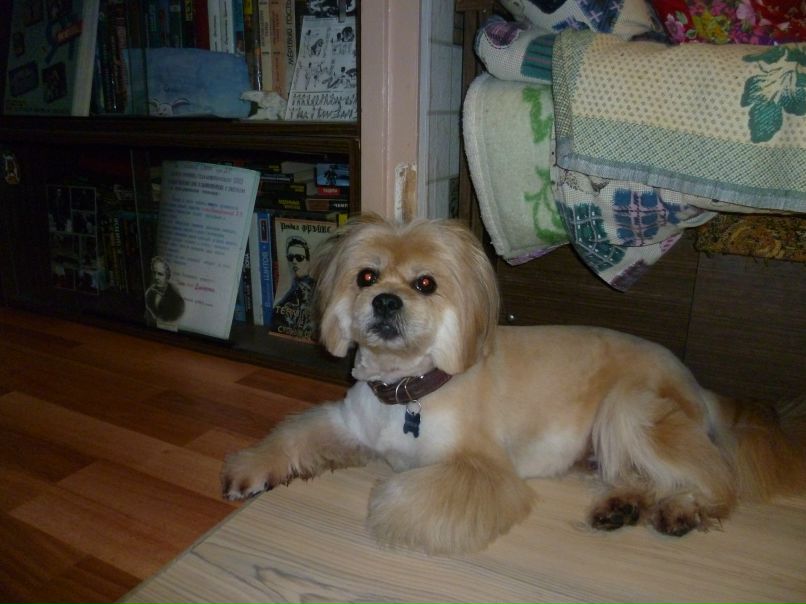 Ирина Свириденкова | Москва