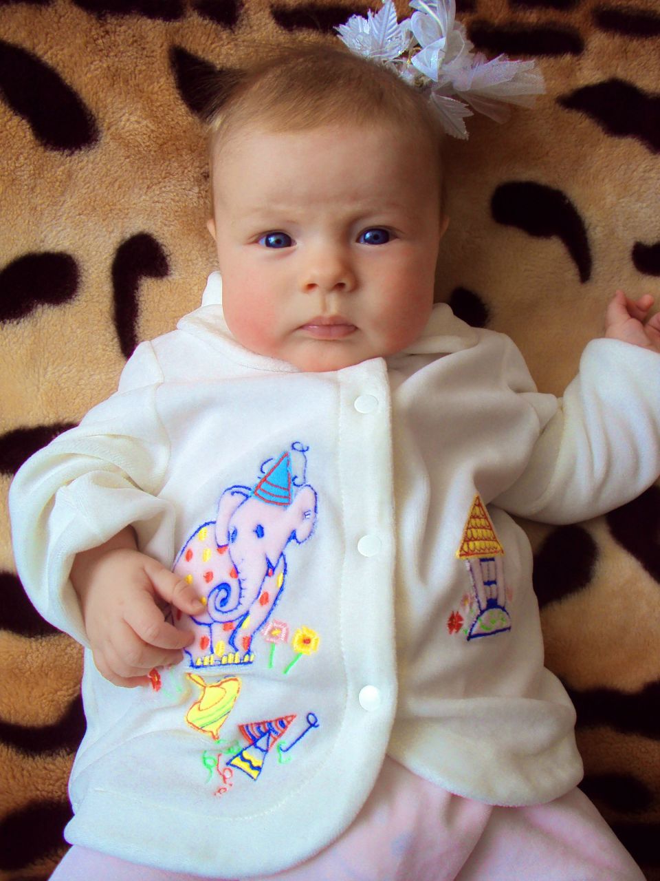 Светлана Кодолич | Барановичи