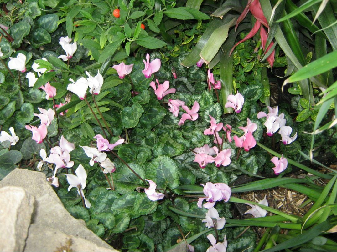 Андрей Михайлов Анатольевич | Ижевск