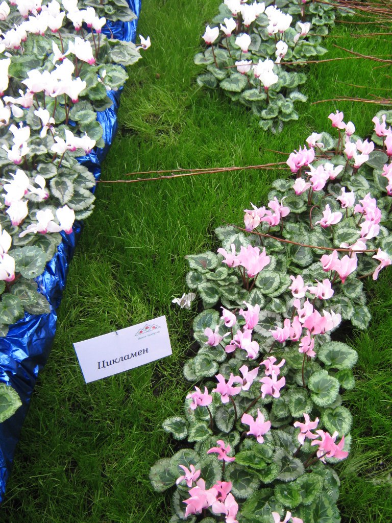 Андрей Михайлов Анатольевич | Ижевск