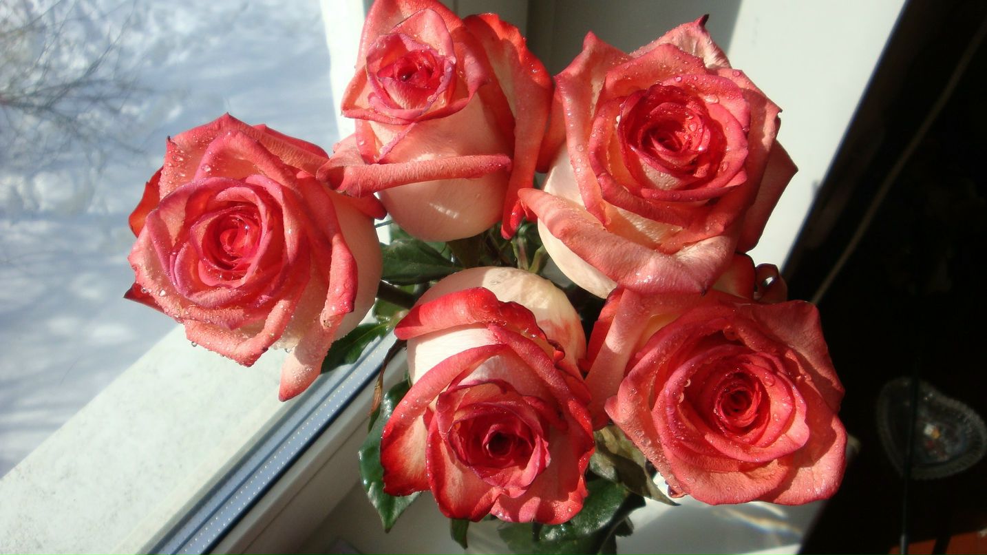 Екатерина Рудакова | Иркутск