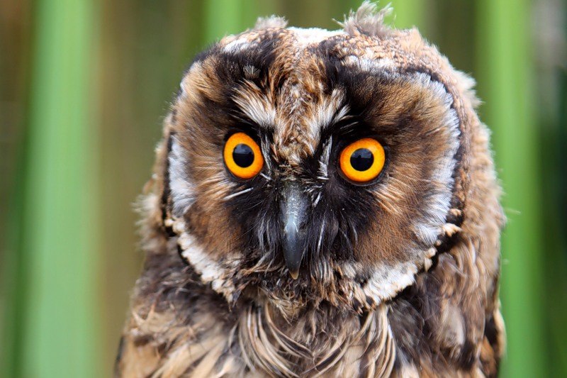 Андрей Рыковский | Москва