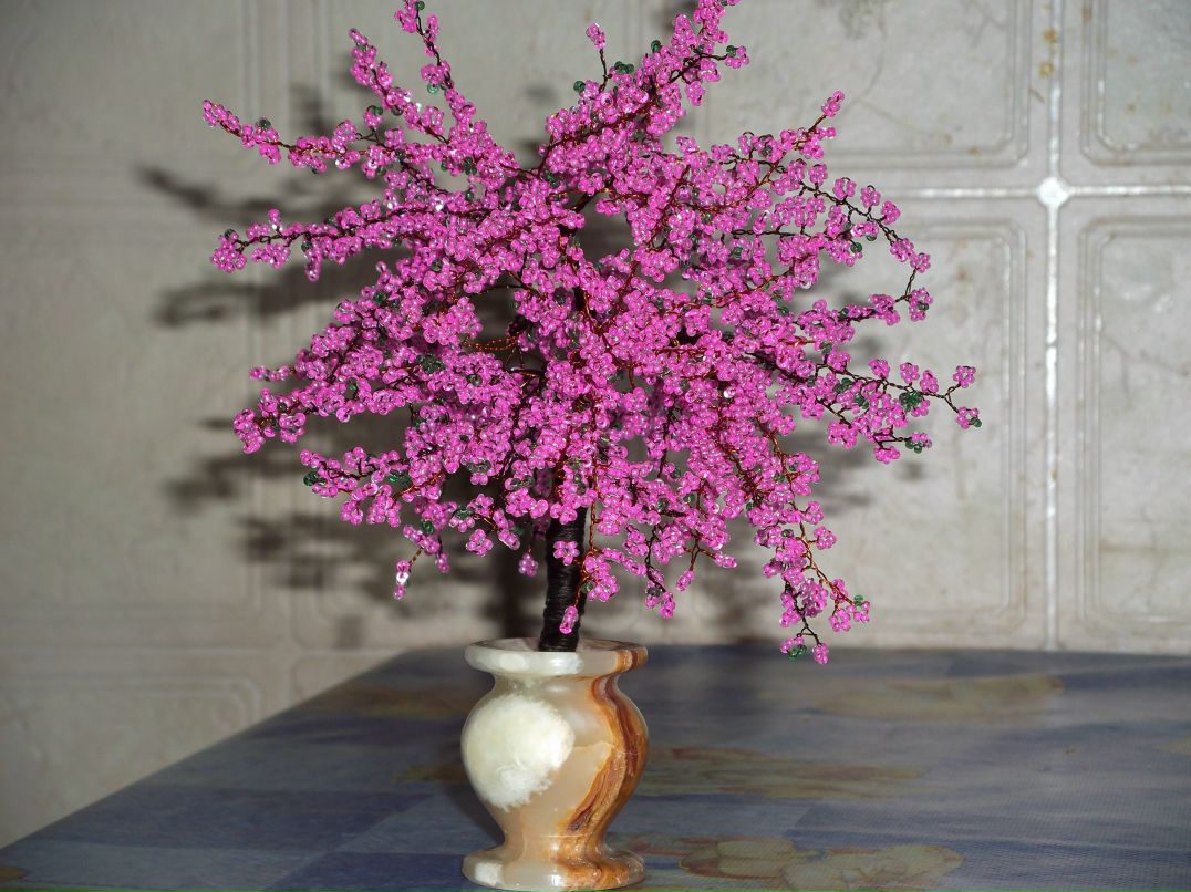 Алексей Рязанов | Паша