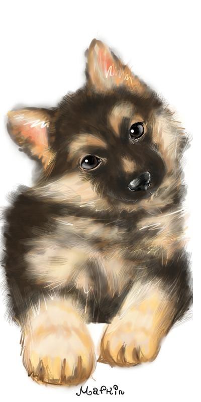 Мария Мурзина | Санкт-Петербург