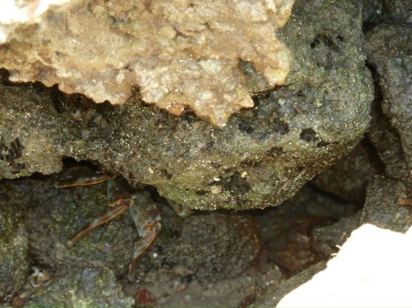 Ольга Якимец | Кстово