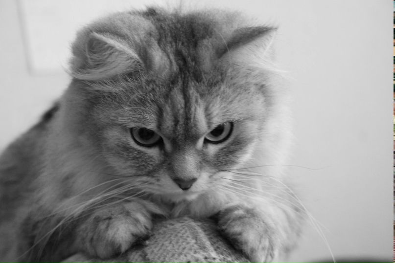 Anton Petrov | Казань