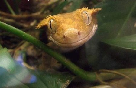 №72, Юлия Недосова №72, Юлия Недосова