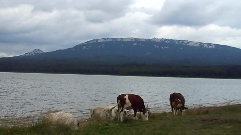 Челябинская обл. оз. Зюраткуль, 2015