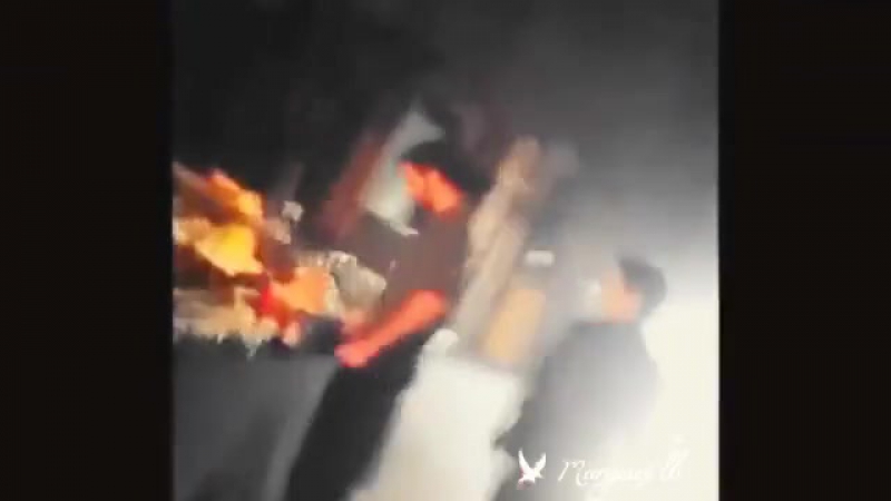 Teen Wolf Cast Vines, 1