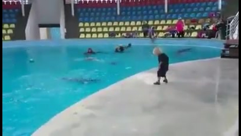 dolphine and