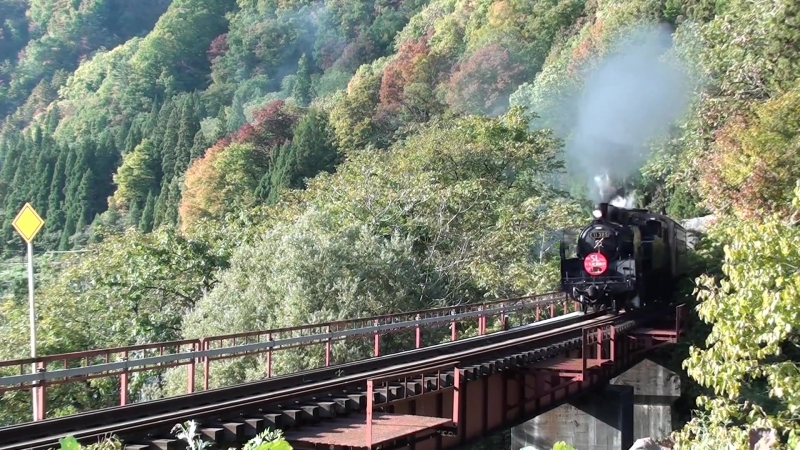 Compilation OF Steam Locomotive Trains