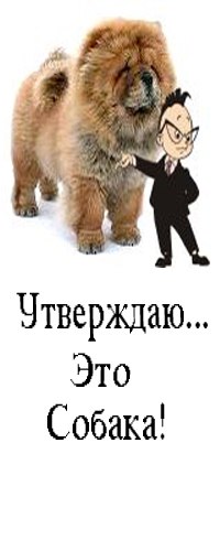 русское порно на русском языке смотреть онлайн