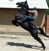 Аслан Батыров