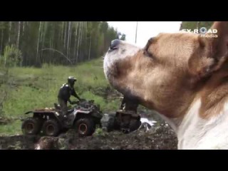 ЛАДОГА-трофи 2017 /  день второй.