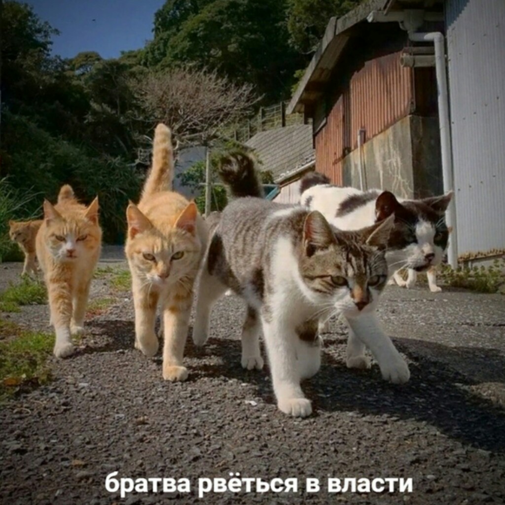 iQKH7ltNCO4.jpg