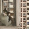 Аватар: Арина Чичеранда
