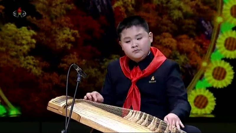 만경대학생소년궁전 예술소조원 석준의 가야금연주