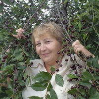 Людмила Евтеева