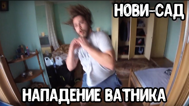 Нови Сад. Обнюханные цыгане, сербские ватники путинисты,