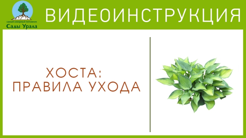 Сады Урала Официальный Сайт Интернет Магазин