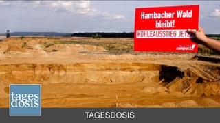 Tagesdosis  -  Davids gegen Goliath