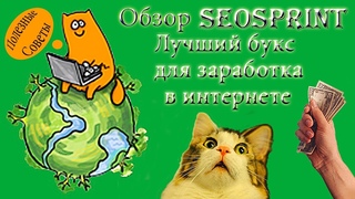 Обзор Seosprint: лучший букс для заработка в интернете