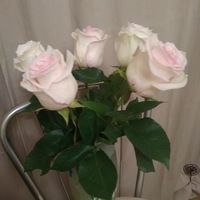 Оля Чижикова