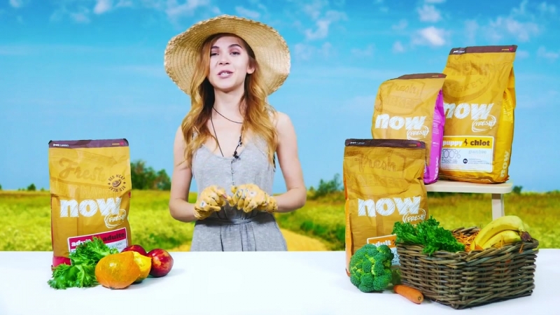Now Natural Натуральные корма для кошек и