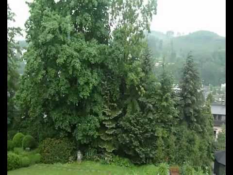 Raga Megha ( Rain Melody) Part