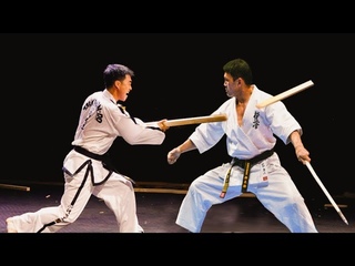 ITF Taekwondo vs Kyokushin