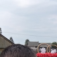 Александр Ильин