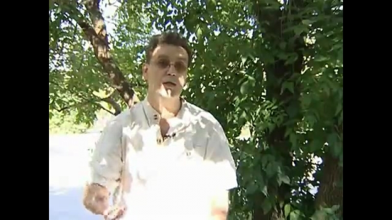 Системные расстановки по Б.