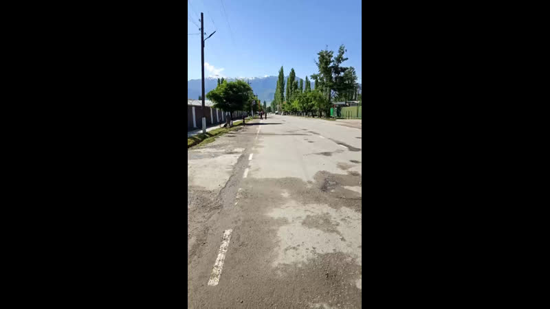 Live Навобод шахраки зебо