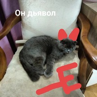 Дмитрий Астахов