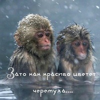 Александр Гладков