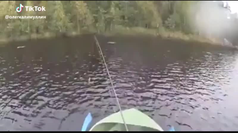 Не в