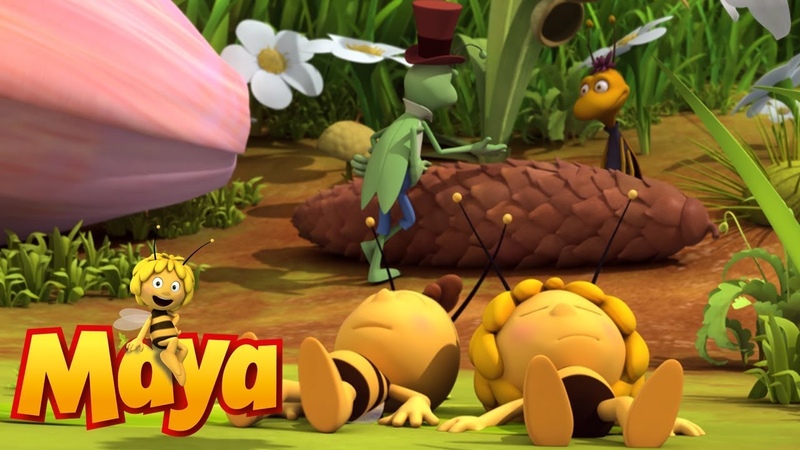 Music Bee Maya the
