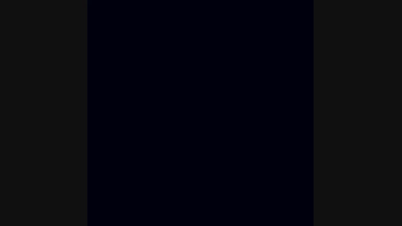 VID_24090316_045115_945.mp4
