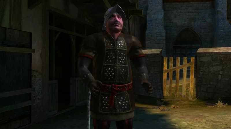 Прохождение The Witcher: Enhanced Edition. Часть 17. Побочные задания,