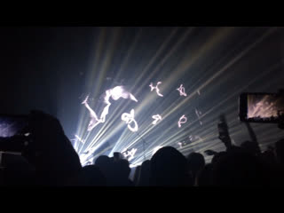 Dolphin |