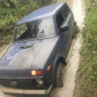 Антон Бушуев