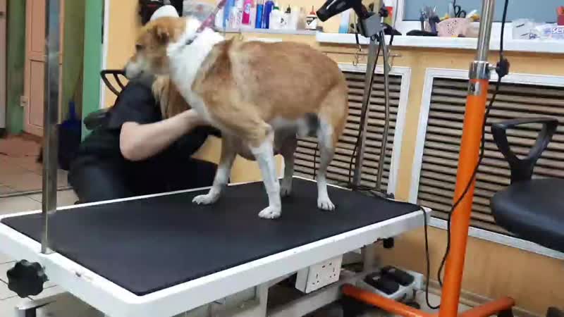 20191118_175732.mp4