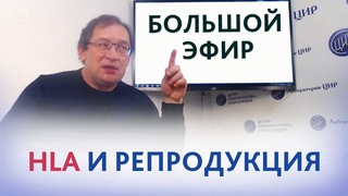 HLA и репродукция. Аллоиммунный фактор бесплодия и невынашивания беременности.