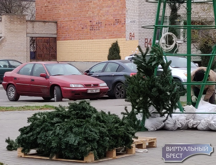 Санта, Корона и Green ко встрече Нового 2020 года готовы! Санта, Корона и Green ко встрече Нового 2020 года готовы!