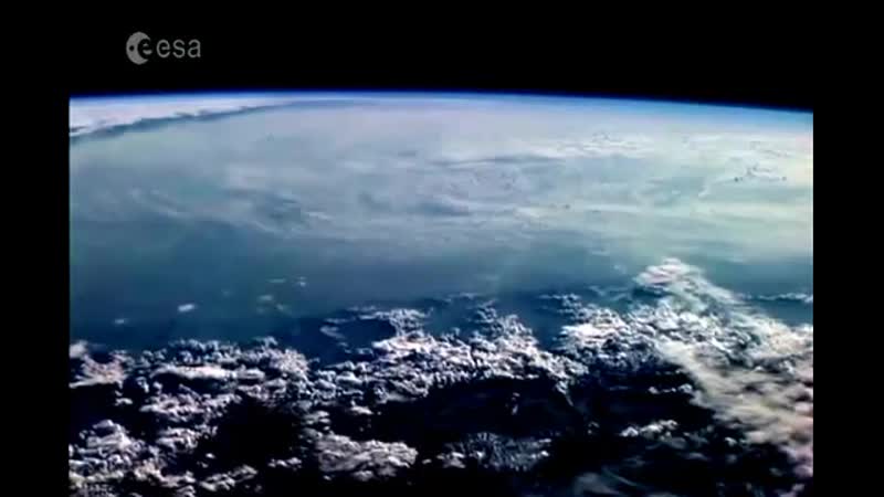 Earthless Flower Travellin