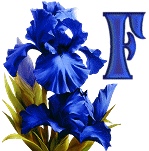 синий ирис алфавит, image #6