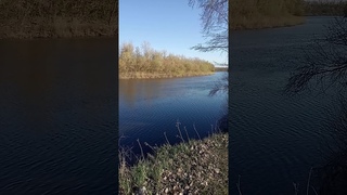 Фронтмен группы Море в Кинеле спел А капелла