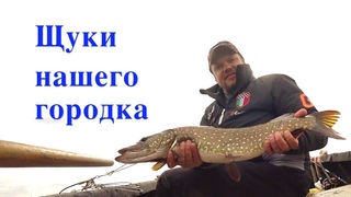Щука на воблеры. Открываем осенний сезон.